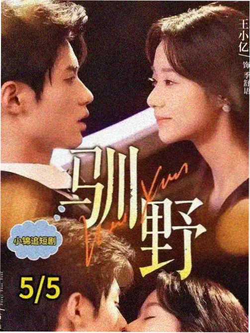 南瓜影视app剧集观察：回声档案室剧照